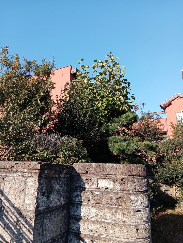 作業前