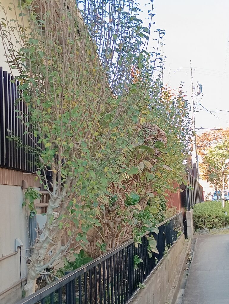 作業前