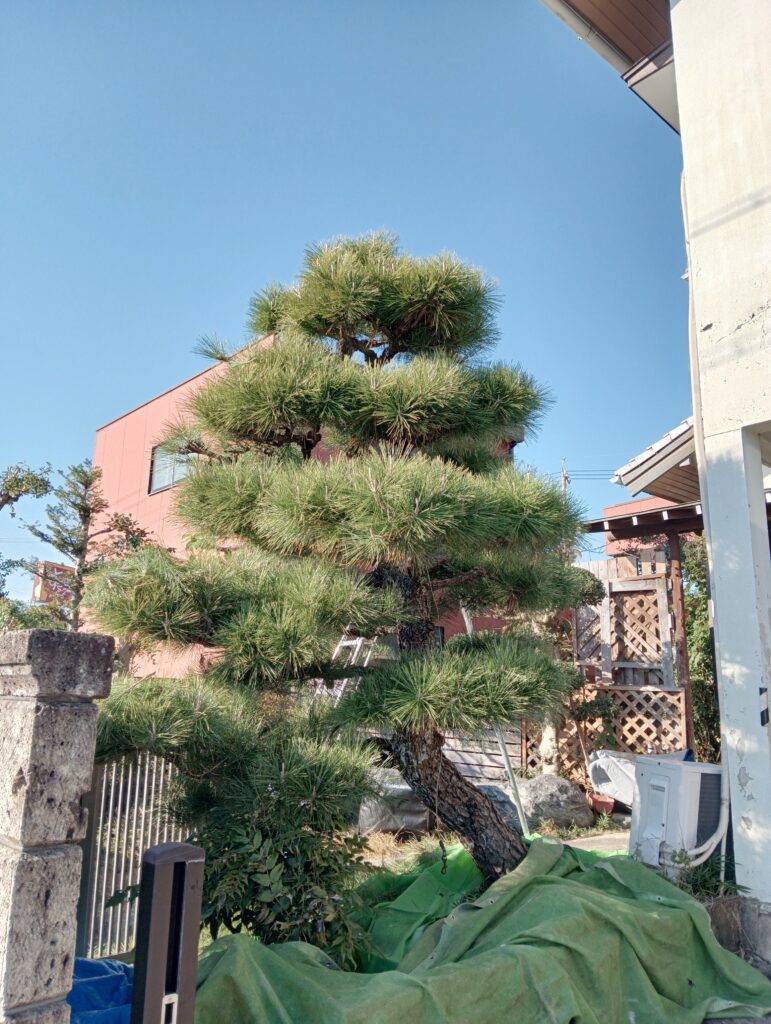 作業前